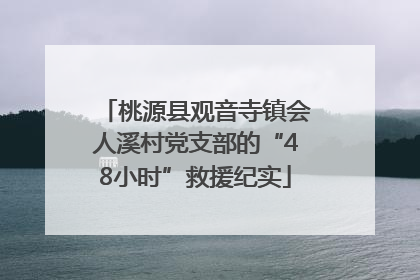 桃源县观音寺镇会人溪村党支部的“48小时”救援纪实