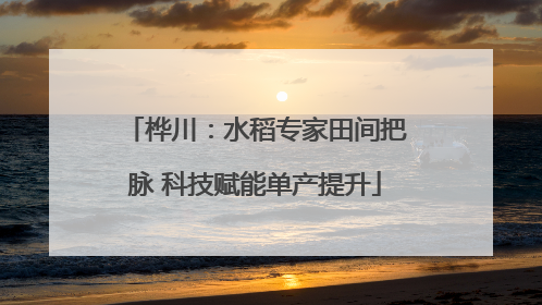 桦川：水稻专家田间把脉 科技赋能单产提升