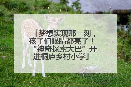 梦想实现那一刻，孩子们眼睛都亮了！“神奇探索大巴”开进桐庐乡村小学