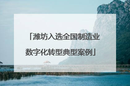 潍坊入选全国制造业数字化转型典型案例