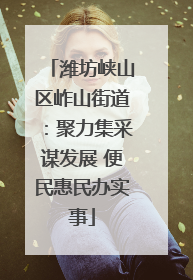 潍坊峡山区岞山街道：聚力集采谋发展 便民惠民办实事