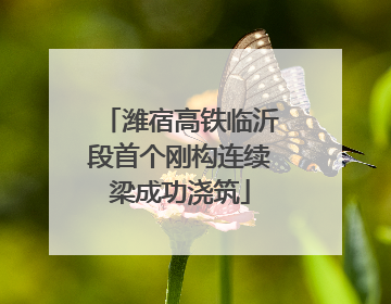 潍宿高铁临沂段首个刚构连续梁成功浇筑
