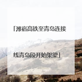 潍宿高铁至青岛连接线青岛段开始架梁