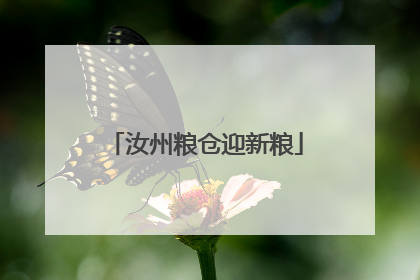汝州粮仓迎新粮