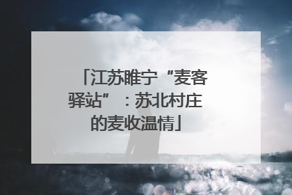 江苏睢宁“麦客驿站”：苏北村庄的麦收温情