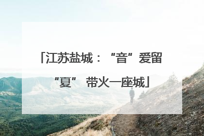江苏盐城：“音”爱留“夏” 带火一座城
