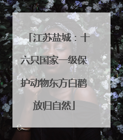 江苏盐城：十六只国家一级保护动物东方白鹳放归自然
