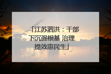江苏泗洪：干部下沉强根基 治理提效惠民生