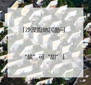 沙漠腹地民勤可“盐”可“甜”