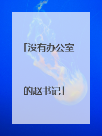 没有办公室的赵书记