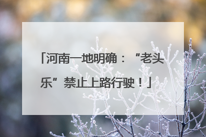 河南一地明确：“老头乐”禁止上路行驶！