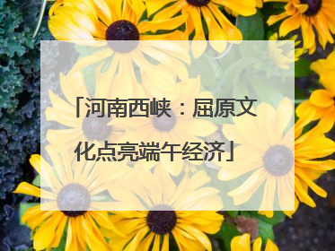 河南西峡：屈原文化点亮端午经济