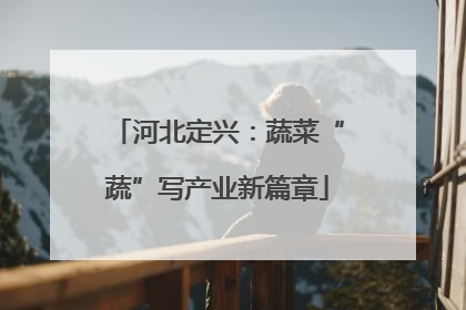 河北定兴：蔬菜“蔬”写产业新篇章