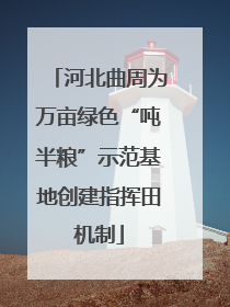 河北曲周为万亩绿色“吨半粮”示范基地创建指挥田机制