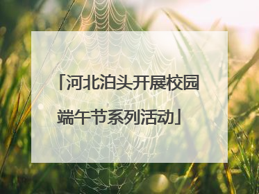 河北泊头开展校园端午节系列活动