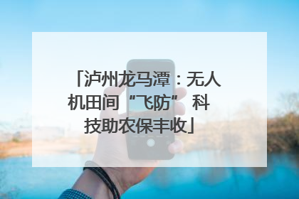 泸州龙马潭：无人机田间“飞防” 科技助农保丰收