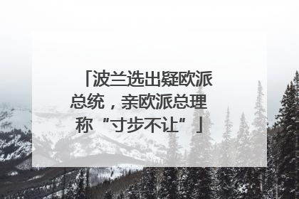 波兰选出疑欧派总统，亲欧派总理称“寸步不让”