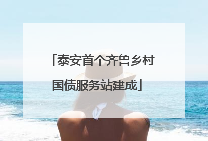 泰安首个齐鲁乡村国债服务站建成