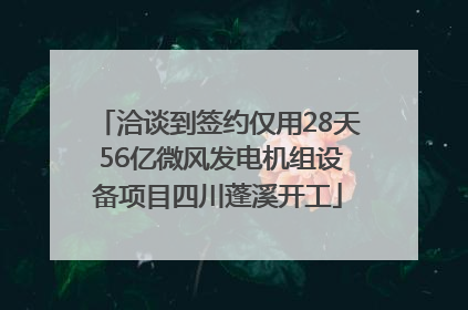 洽谈到签约仅用28天 56亿微风发电机组设备项目四川蓬溪开工