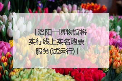 洛阳一博物馆将实行线上实名购票服务(试运行)