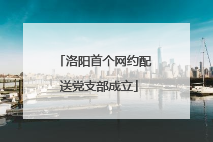 洛阳首个网约配送党支部成立