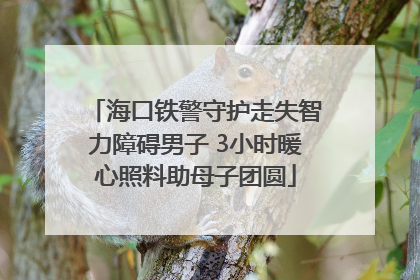 海口铁警守护走失智力障碍男子 3小时暖心照料助母子团圆