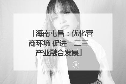 海南屯昌：优化营商环境 促进一二三产业融合发展