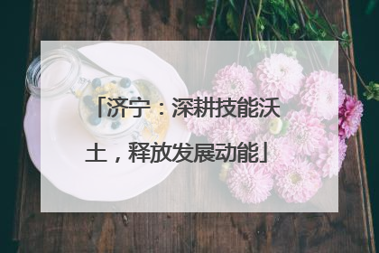 济宁：深耕技能沃土，释放发展动能