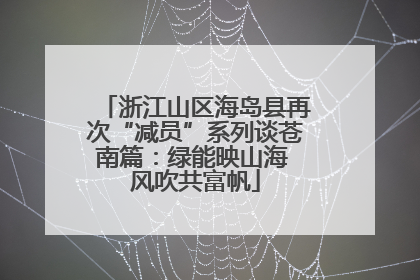 浙江山区海岛县再次“减员”系列谈苍南篇：绿能映山海 风吹共富帆