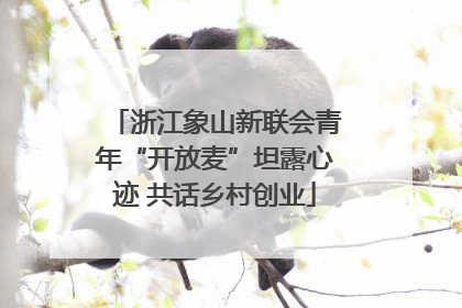 浙江象山新联会青年“开放麦”坦露心迹 共话乡村创业