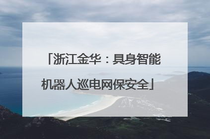浙江金华：具身智能机器人巡电网保安全