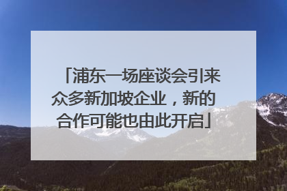 浦东一场座谈会引来众多新加坡企业，新的合作可能也由此开启