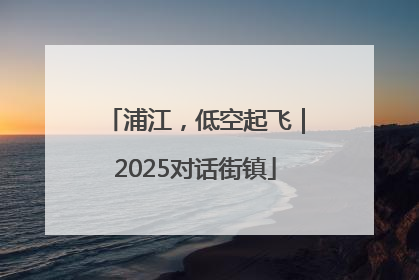 浦江，低空起飞｜2025对话街镇