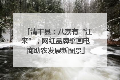清丰县：八寨有“江来”，网红品牌擘画电商助农发展新图景
