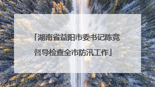 湖南省益阳市委书记陈竞督导检查全市防汛工作