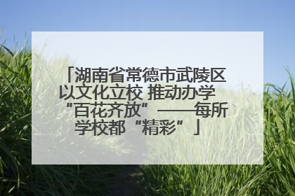 湖南省常德市武陵区以文化立校 推动办学“百花齐放”——每所学校都“精彩”