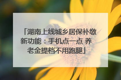 湖南上线城乡居保补缴新功能：手机点一点 养老金提档不用跑腿