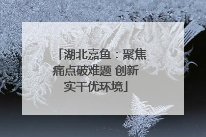 湖北嘉鱼：聚焦痛点破难题 创新实干优环境