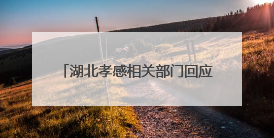 湖北孝感相关部门回应“一男子称被交警打断9根肋骨未立案”：已成立联合专班开展工作