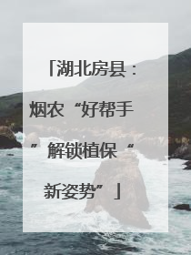 湖北房县：烟农“好帮手”解锁植保“新姿势”