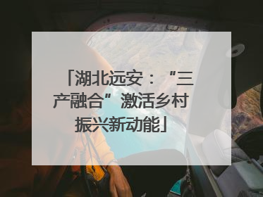 湖北远安：“三产融合”激活乡村振兴新动能