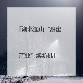 湖北通山“甜蜜产业”焕新机