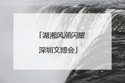 湖湘风潮闪耀深圳文博会