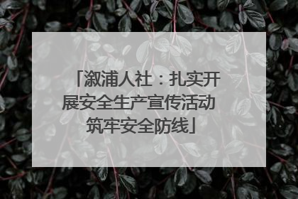 溆浦人社：扎实开展安全生产宣传活动 筑牢安全防线