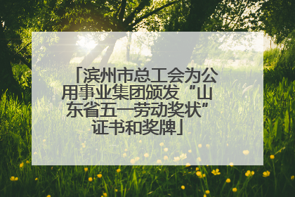 滨州市总工会为公用事业集团颁发“山东省五一劳动奖状”证书和奖牌