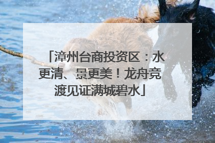 漳州台商投资区：水更清、景更美！龙舟竞渡见证满城碧水