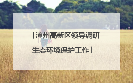 漳州高新区领导调研生态环境保护工作