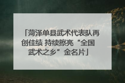 菏泽单县武术代表队再创佳绩 持续擦亮“全国武术之乡”金名片