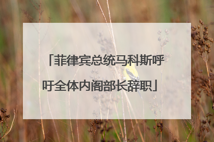 菲律宾总统马科斯呼吁全体内阁部长辞职