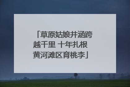 草原姑娘井涵跨越千里 十年扎根黄河滩区育桃李